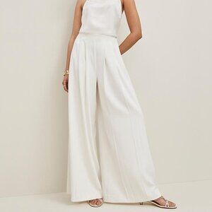 Ann Taylor The Triple Pleat Palazzo Pant